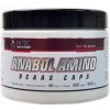 Hi Tec nutrition Anabol Amino BCAA s 200 kapslí