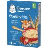 GERBER Junior nemliečna kaša jahodová 12m+ 200 g GERBER Junior nemliečna kaša jahodová 12m+ 200 g