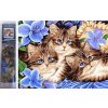 Norimpex Diamantové maľovanie Tri mačiatka v kvetoch 30 x 40 cm