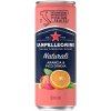 SANPELLEGRINO San Pellegrino opuncia-pomaranč 033l plech + ZO 0,15€ SANPELLEGRINO San Pellegrino opuncia-pomaranč 033l plech + ZO 0,15€