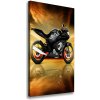Vertikálny foto obraz na plátne do obývačky Motorka 50x100 cm Vertikálny foto obraz na plátne do obývačky Motorka 50x100 cm