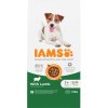 Iams Advanced Nutrition Adult Small & Medium Dog Lamb 2 x 12 kg