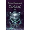 Zaklínač VII. : Paní jezera - Andrzej Sapkowski, Jana Komárková (ilustrátor) Zaklínač VII. : Paní jezera - Andrzej Sapkowski, Jana Komárková (ilustrátor)
