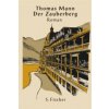 Der Zauberberg (Thomas Mann)(Pevná) Der Zauberberg (Thomas Mann)(Pevná)