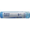 Avena Sativa gra.1 x 4 g 9CH Avena Sativa gra.1 x 4 g 9CH