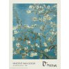 Plagát, Obraz - Almond Blossoms, Vincent van Gogh, 45 × 60 cm