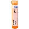 Allium Cepa gra.1 x 4 g 15CH Allium Cepa gra.1 x 4 g 15CH