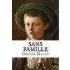 Sans famille (Hector Malot,Hollybooks)(Brožovaná) Sans famille (Hector Malot,Hollybooks)(Brožovaná)