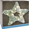 Svietiaca hviezda s LED, 58 cm, zasnežená borovica Svietiaca hviezda s LED, 58 cm, zasnežená borovica