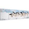 Tučniaci - obraz (Obraz 170x50cm) Tučniaci - obraz (Obraz 170x50cm)