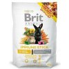 Brit Animals Immune Stick for Rodents 80g Brit Animals Immune Stick for Rodents 80g