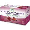 Fyto BRUSNICA & GUARANA OVOCNO bylinný čaj 20 X 2 g