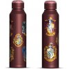 Harry Potter Fľaša nerezová slim 550 ml Harry Potter Fľaša nerezová slim 550 ml