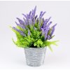 LEVANDUĽA V ČREPNÍKU FIALOVÁ PRIEM:8CM, V:20CM