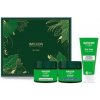 Weleda Weleda Skin Food Nourishing Face Care Set Weleda Weleda Skin Food Nourishing Face Care Set
