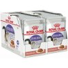 Royal Canin Sterilised Gravy v šťave 24 x 85 g