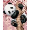 Diamondi Diamantové maľovanie - PANDA NA ROZKVITNUTOM STROME Rámovanie: vypnuté plátno na rám, Rozmer: 40x50 cm Diamondi Diamantové maľovanie - PANDA NA ROZKVITNUTOM STROME Rámovanie: vypnuté plátno na rám, Rozmer: 40x50 cm