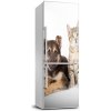 Foto nálepka na chladničku stenu Pes a mačka 60x180 cm Foto nálepka na chladničku stenu Pes a mačka 60x180 cm
