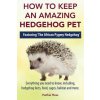 How to Keep an Amazing Hedgehog Pet. Featuring 'The African Pygmy Hedgehog' !! How to Keep an Amazing Hedgehog Pet. Featuring 'The African Pygmy Hedgehog' !!