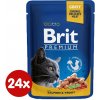 Brit Premium Cat Salmon & Trout 24 x 100 g