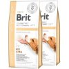 Brit Veterinary Diets GF dog Hepatic 2 x 12 kg Brit Veterinary Diets GF dog Hepatic 2 x 12 kg