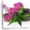 Sablio Obraz Orchidea a kamene - 50x50 cm Sablio Obraz Orchidea a kamene - 50x50 cm