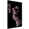 Vertikálny moderný akrylový fotoobraz Kvety višne 50x100 cm Vertikálny moderný akrylový fotoobraz Kvety višne 50x100 cm