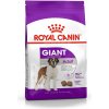 ROY ROYAL CANIN Giant Adult – suché krmivo pre dospelé psy obrích plemien, od 18./24. mesiaca veku - 15 kg ROY ROYAL CANIN Giant Adult – suché krmivo pre dospelé psy obrích plemien, od 18./24. mesiaca veku - 15 kg