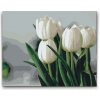 Vymalujsisam.sk Maľovanie podľa čísiel - Biele tulipány Veľkosť: 40x50cm, Rám: Na plastovej doske Vymalujsisam.sk Maľovanie podľa čísiel - Biele tulipány Veľkosť: 40x50cm, Rám: Na plastovej doske