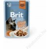 BRIT Premium Cat Delicate Fillets in Gravy with Turkey 12 x 85 g