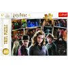 TREFL Harry Potter s přáteli 160 dielov TREFL Harry Potter s přáteli 160 dielov