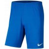 Nike pánske športové šortky pred koleno BV6855