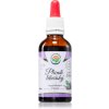 Salvia Paradise Plicník lékařský tinktúra pre normálnu funkciu dýchacieho systému 50 ml Salvia Paradise Plicník lékařský tinktúra pre normálnu funkciu dýchacieho systému 50 ml