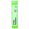 Arnica Montana gra.1 x 4 g 5CH Arnica Montana gra.1 x 4 g 5CH