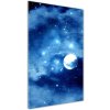Vertikálny foto obraz akrylové sklo Mesiac v splne 50x100 cm Vertikálny foto obraz akrylové sklo Mesiac v splne 50x100 cm