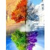 Diamantové maľovanie Gaira Kolobeh života D0010 (D0010) Diamantové maľovanie Gaira Kolobeh života D0010 (D0010)