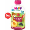 HiPP Bio 100% ovocia Jablko-Broskyňa-Lesné ovocie 6 x 100 g HiPP Bio 100% ovocia Jablko-Broskyňa-Lesné ovocie 6 x 100 g
