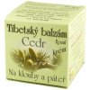 EPAM balzám Cedr na oblast zad a pohybového aparátu 100 g EPAM balzám Cedr na oblast zad a pohybového aparátu 100 g
