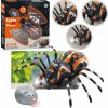 LeanToys Dálkově ovládaná tarantule pavouk infračervený černý R/C ST LeanToys Dálkově ovládaná tarantule pavouk infračervený černý R/C ST
