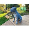 3D maketa - Staffordshire terrier Farba: Šedá 3D maketa - Staffordshire terrier Farba: Šedá