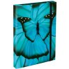 Dosky na školské zošity A4 BAAGL - Butterfly Dosky na školské zošity A4 BAAGL - Butterfly
