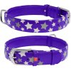 kožný obojok reflexný a svietiaci fosforeskujúci fialový s hviezdičkami Obvod krku: 38-49cm, šírka: 25mm kožný obojok reflexný a svietiaci fosforeskujúci fialový s hviezdičkami Obvod krku: 38-49cm, šírka: 25mm