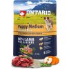 Ontario granuly Puppy Medium jahňa a ryža 0,75 kg Ontario granuly Puppy Medium jahňa a ryža 0,75 kg