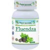 Planet Ayurveda Fluendza - boj proti infekciám 500mg 60 kapsúl Planet Ayurveda Fluendza - boj proti infekciám 500mg 60 kapsúl