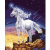 Amparo Miranda® Maľovanie podľa čísiel Jednorožec JX1684 Amparo Miranda® Maľovanie podľa čísiel Jednorožec JX1684
