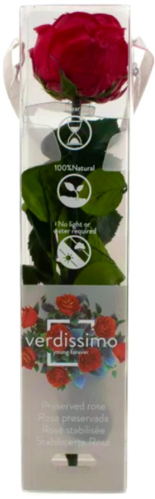 Stabilizovaná ruža na stonke - Anglická ruža červená Kus: 1
