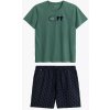 Atlantic pánske letné pyžamo NMP-395 zelená