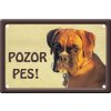 Plechová psí cedule, Boxer, Pozor pes Plechová psí cedule, Boxer, Pozor pes