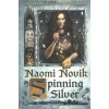 Spinning Silver Spinning Silver