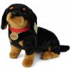 Rappa Plyšový pes jazvečík 30 cm ECO-FRIENDLY Rappa Rappa Plyšový pes jazvečík 30 cm ECO-FRIENDLY Rappa